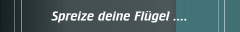 Spreize deine Flügel ....